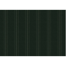 ORCD541 Halo Olive
